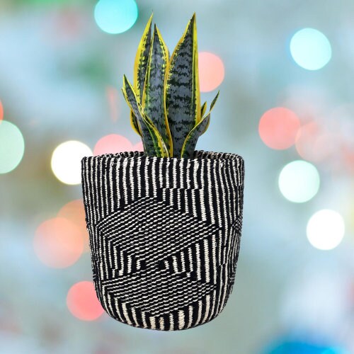 Handwoven Sisal Plant Basket: Geometric Black & White Pot Cover