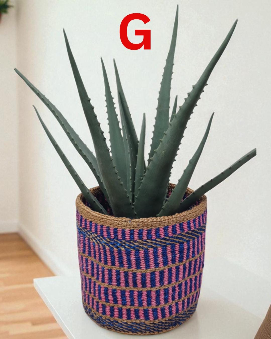 Rainbow Sisal Woven Plant Basket: Boho Home Decor, 7"