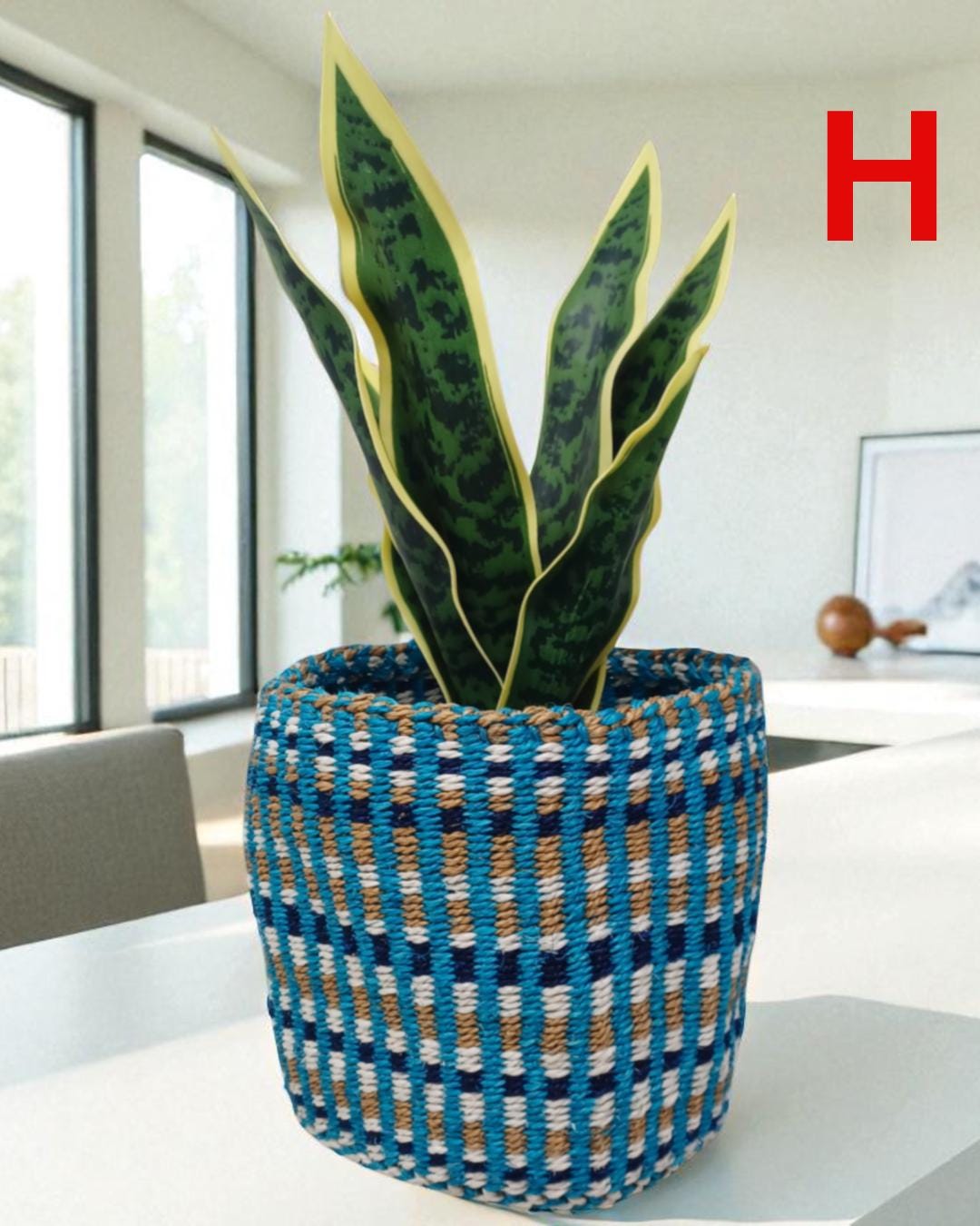 Rainbow Sisal Woven Plant Basket: Boho Home Decor, 7"