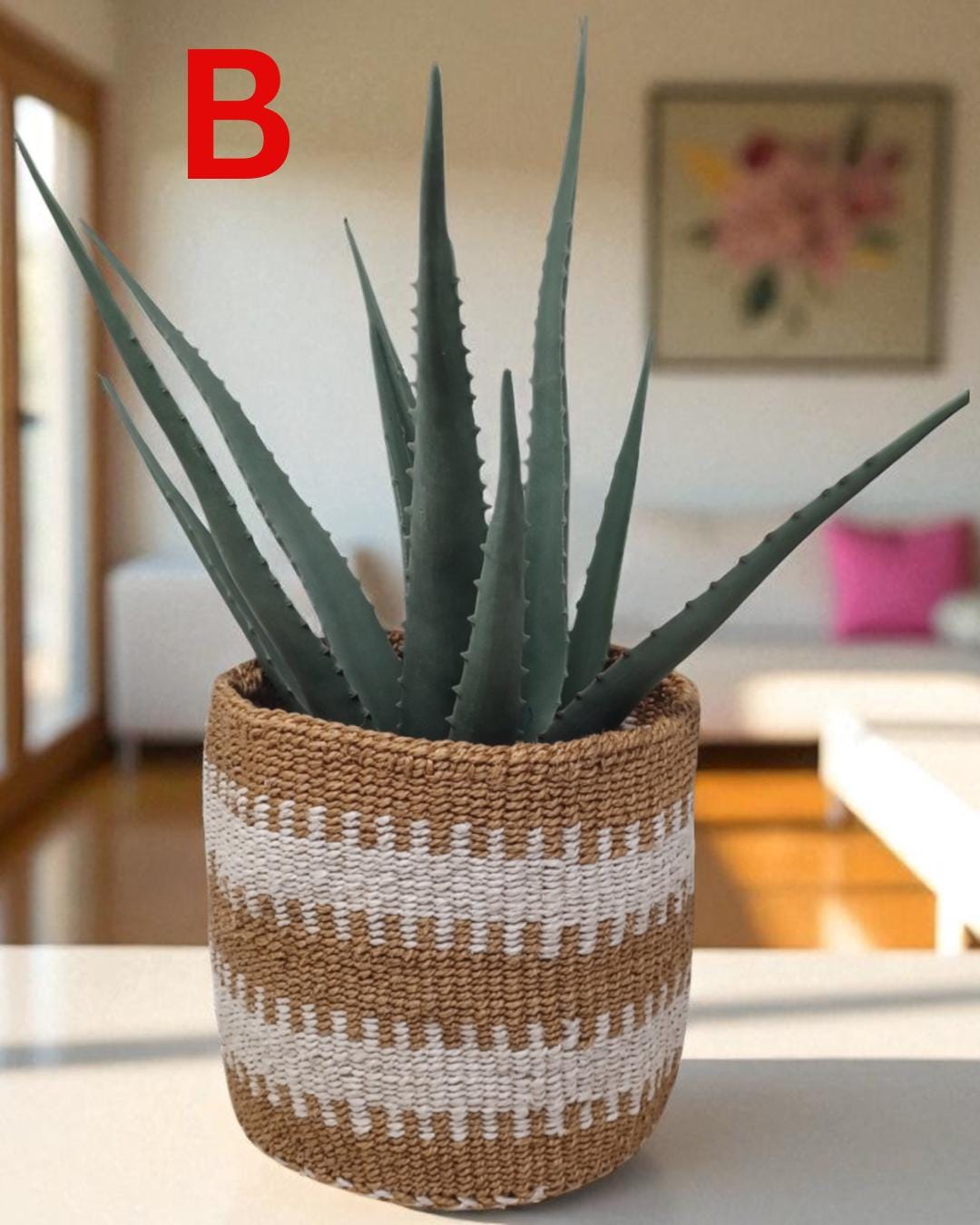 Rainbow Sisal Woven Plant Basket: Boho Home Decor, 7"