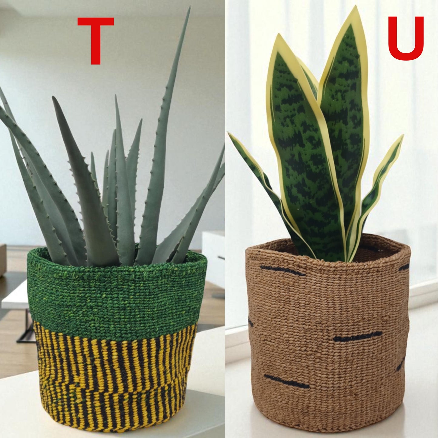 Handwoven Christmas Basket | 7” Colorful Sisal Plant Cover & Holiday Gift