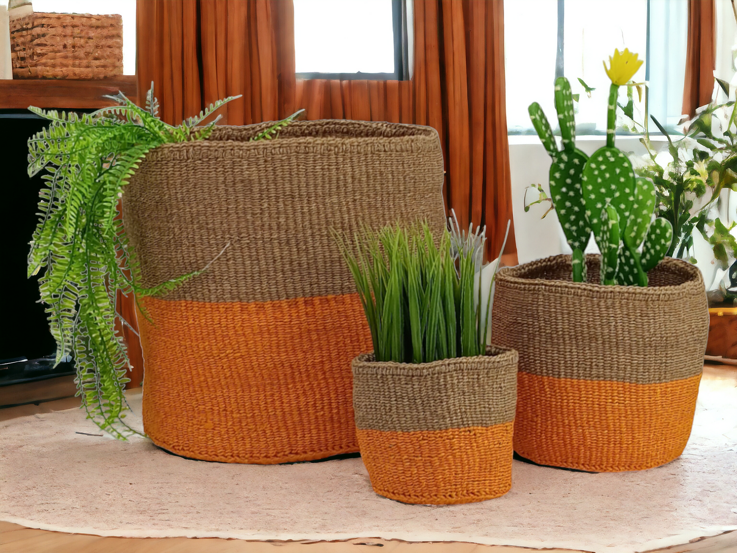 Plant Baskets