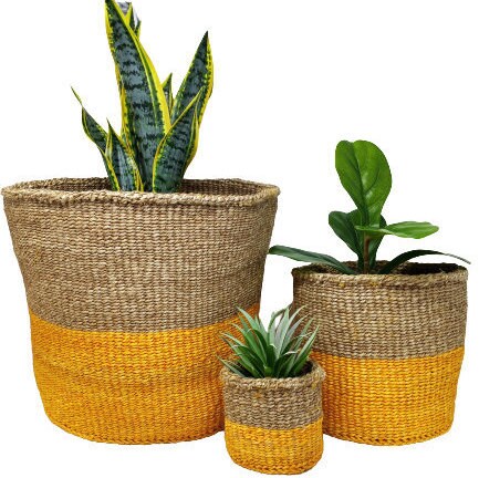 Handwoven Sisal Basket: African Storage, Plant Pot, Colorful Woven Baskets