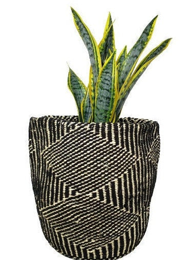 Handwoven Sisal Plant Basket: African Woven Planter (9x9 inches)