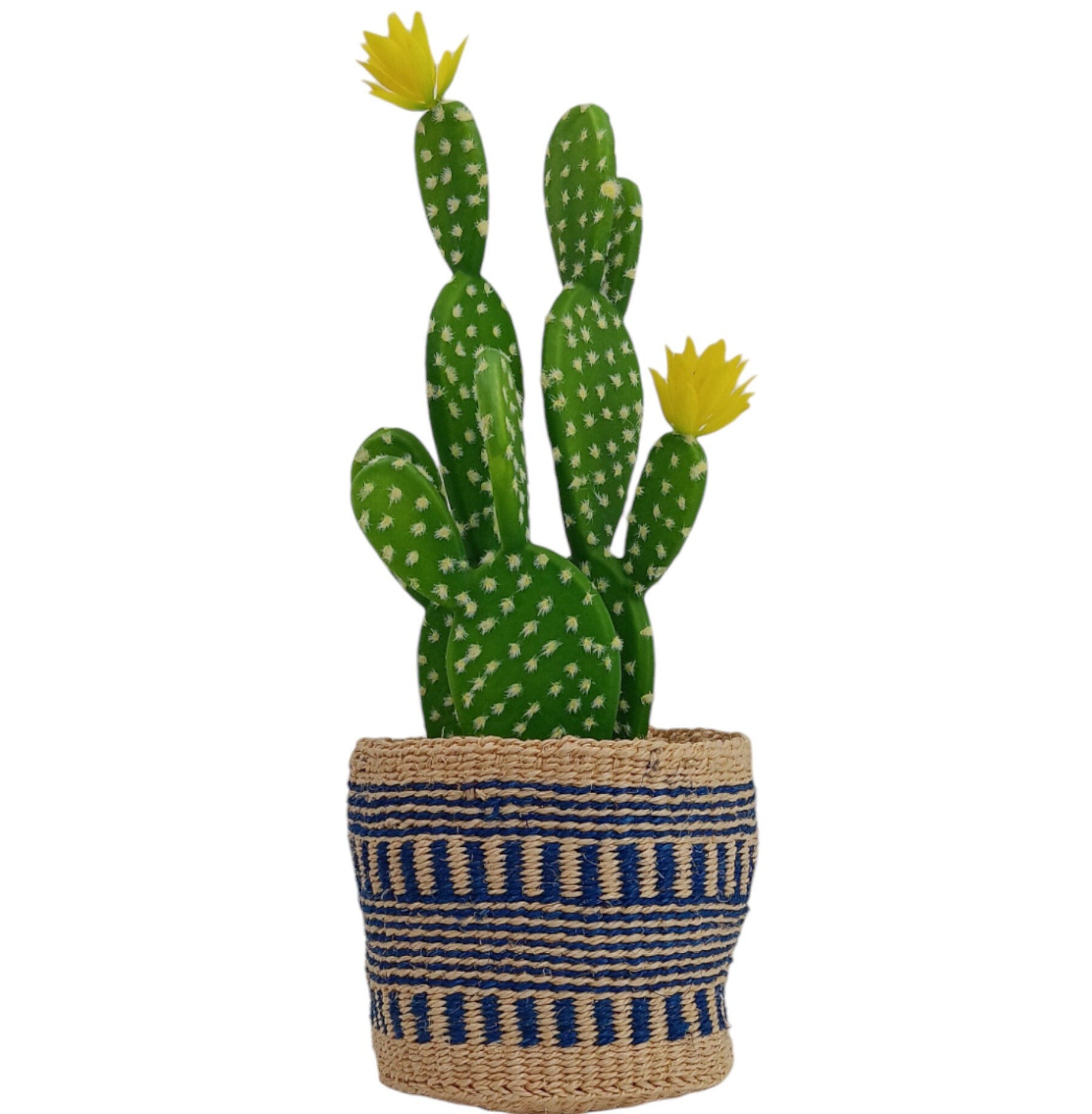 Handwoven Sisal Basket: Colorful Woven Planter, Storage Basket