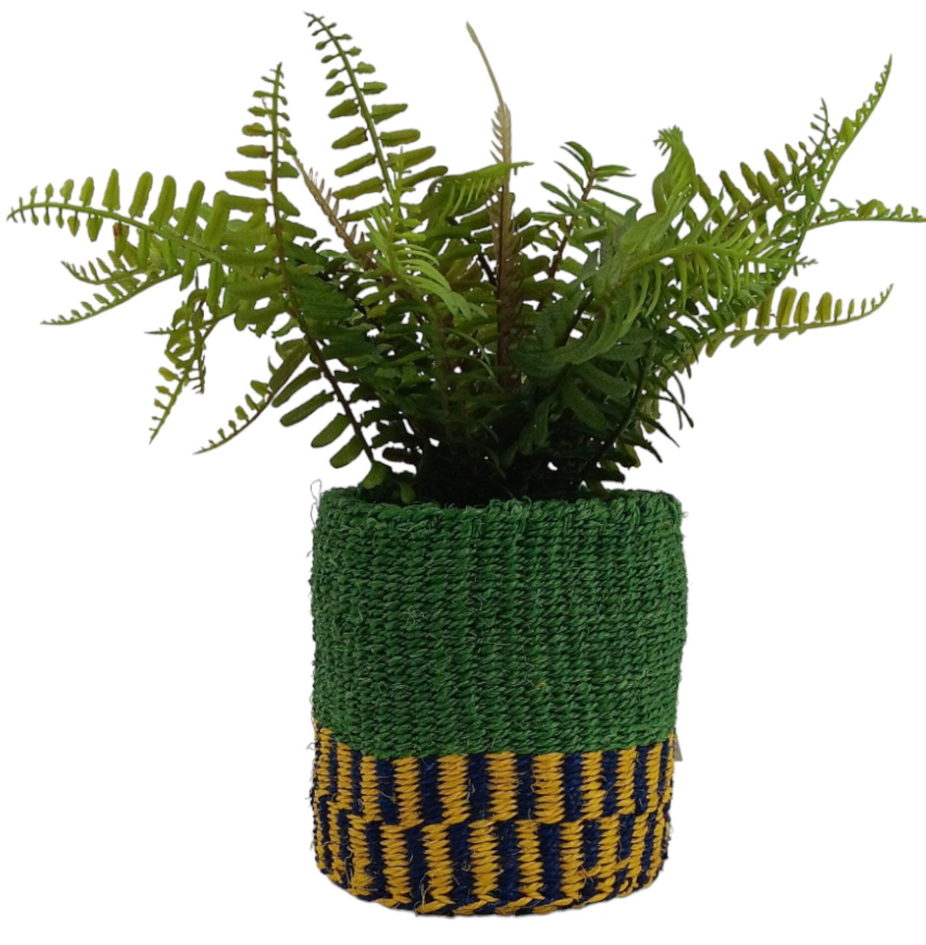 Handwoven African Sisal Basket Planter: Green Boho Decor