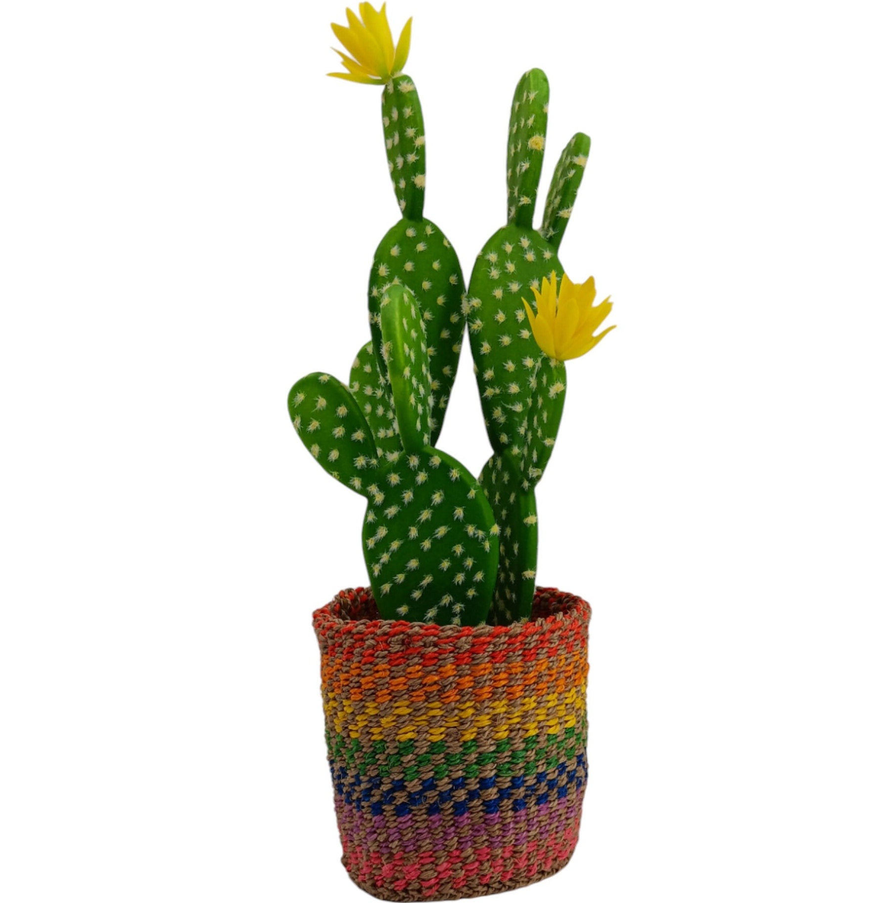 Woven Basket Planter: Colorful Sisal, Handwoven Kenyan Decor