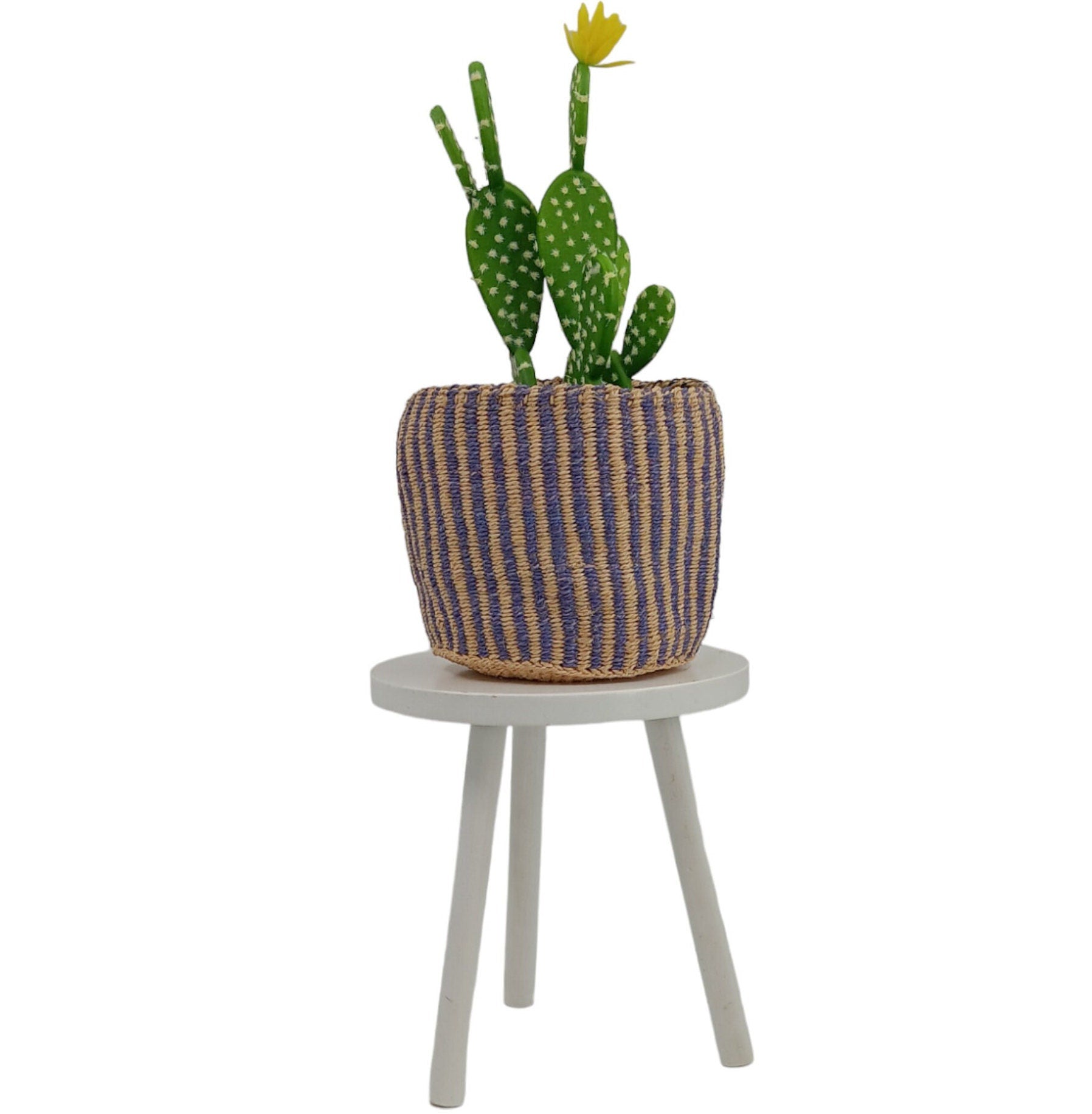 Handwoven Sisal Basket: Striped Purple Planter Pot, African Storage Basket