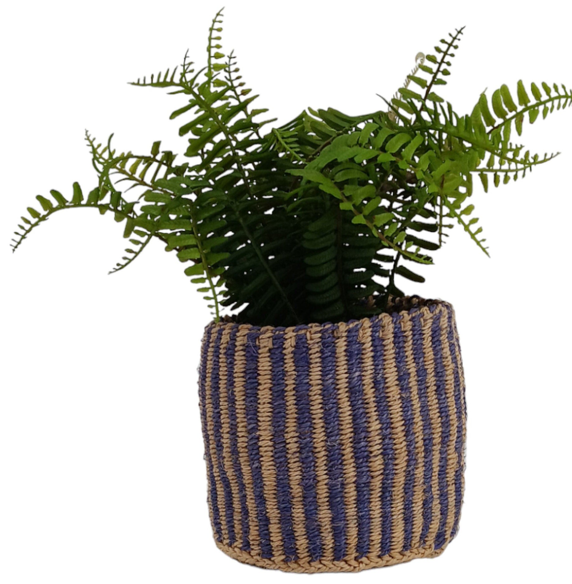 Handwoven Sisal Basket: Striped Purple Planter Pot, African Storage Basket