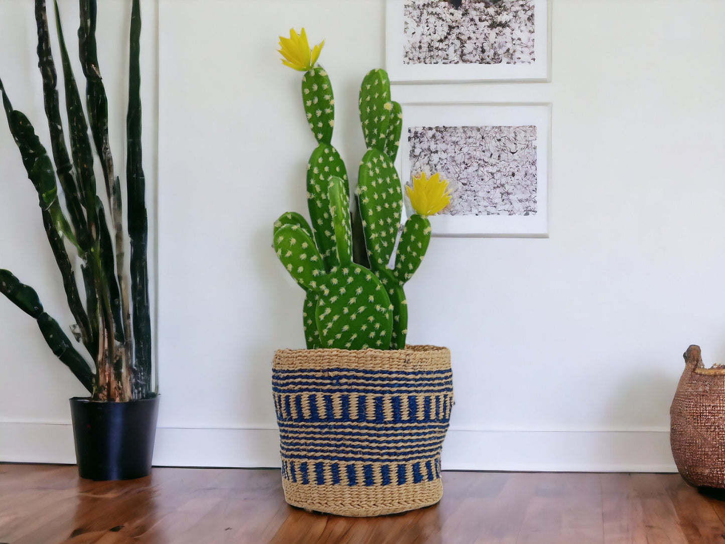 Handwoven Sisal Basket: Colorful Woven Planter, Storage Basket