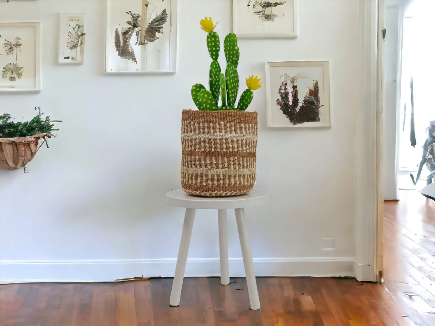 Handwoven Sisal Plant Basket: African Woven Storage Basket