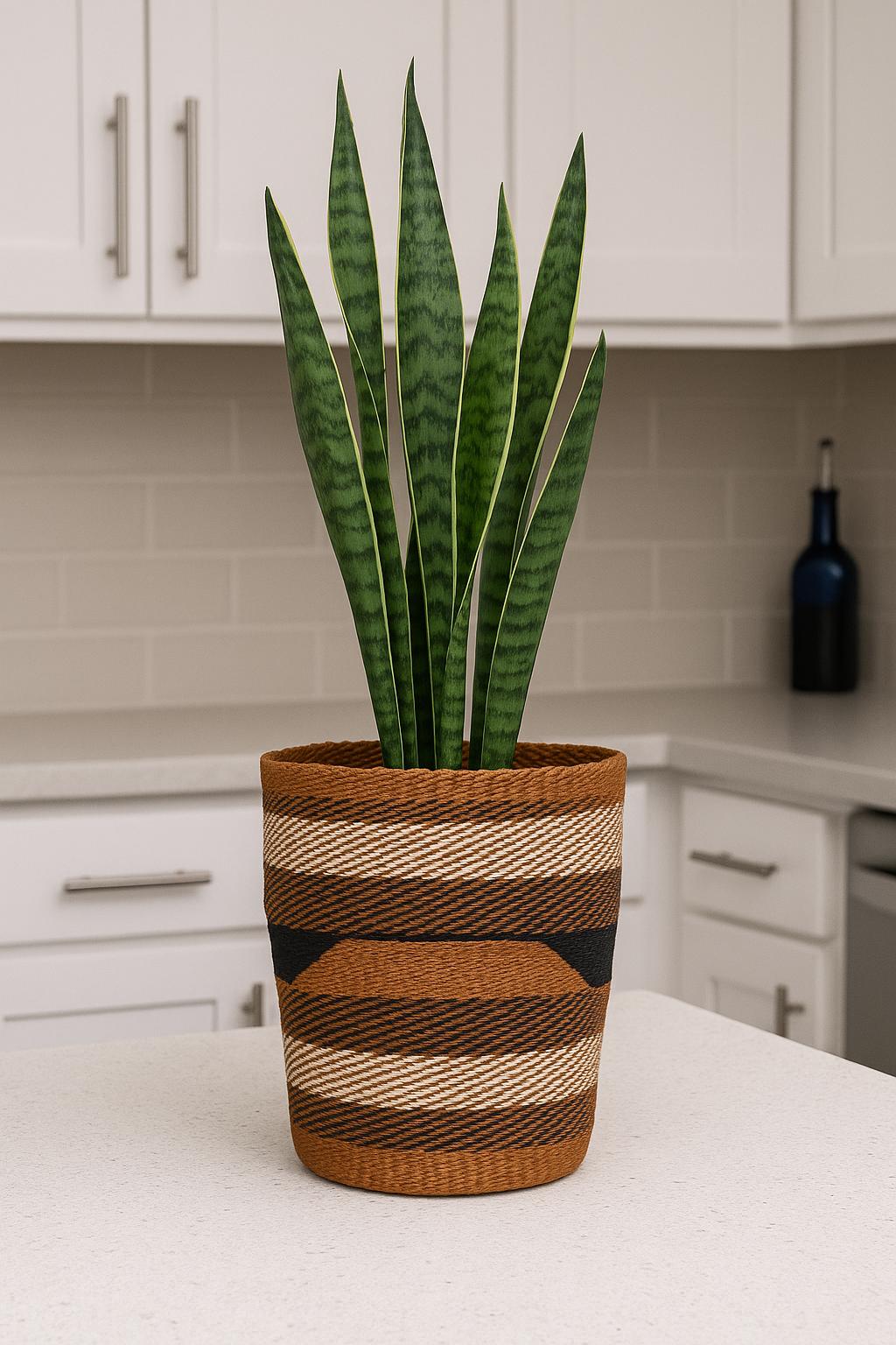 Handwoven Sisal Basket: African Storage, Plant Pot Cover