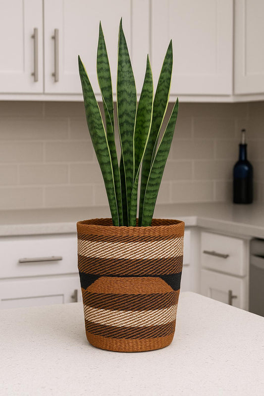 Handwoven Sisal Basket: African Storage, Plant Pot Cover
