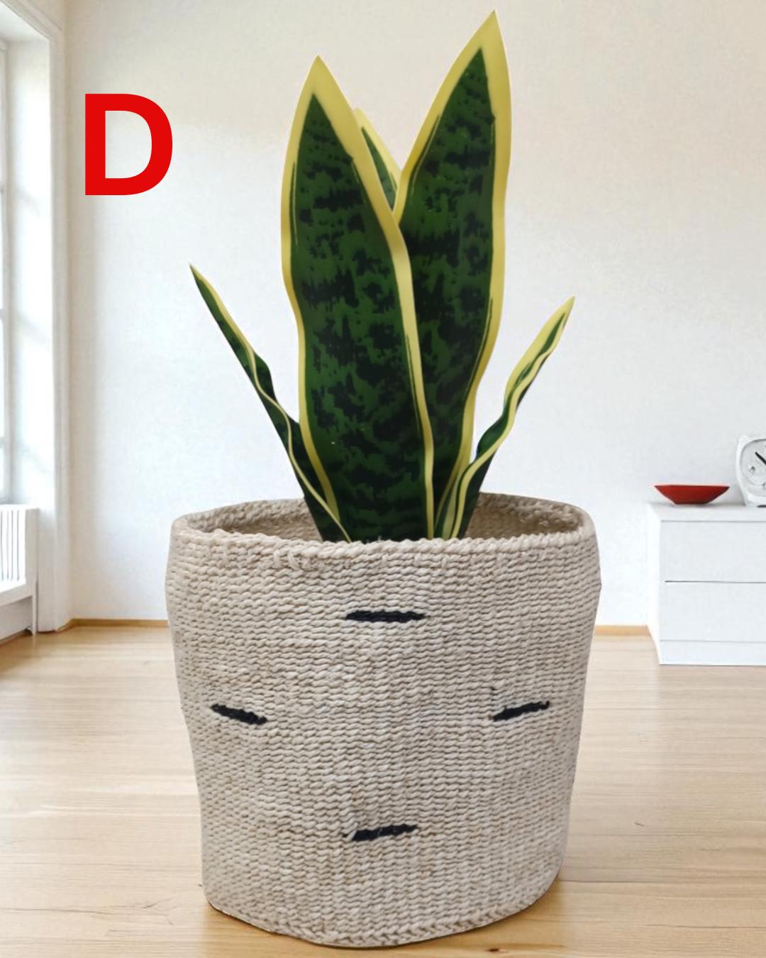 Rainbow Sisal Woven Plant Basket: Boho Home Decor, 7"