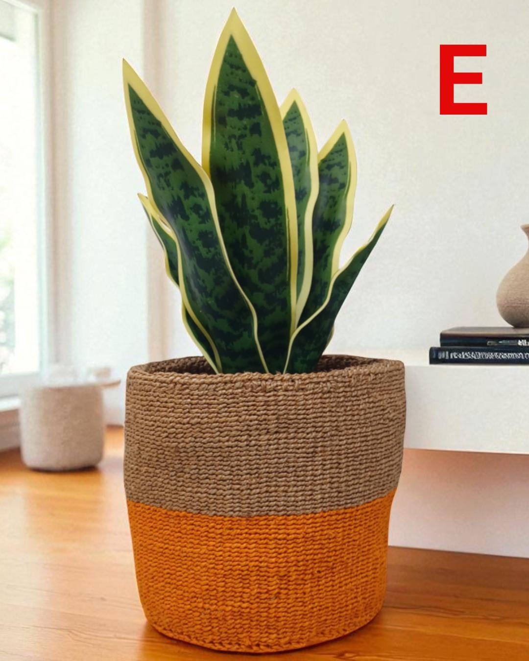 Rainbow Sisal Woven Plant Basket: Boho Home Decor, 7"