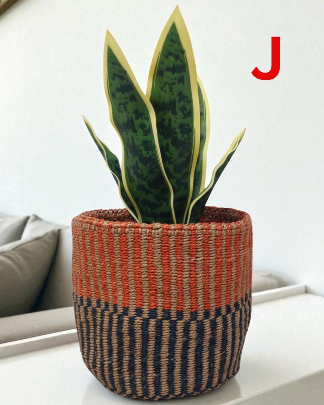 Rainbow Sisal Woven Plant Basket: Boho Home Decor, 7"