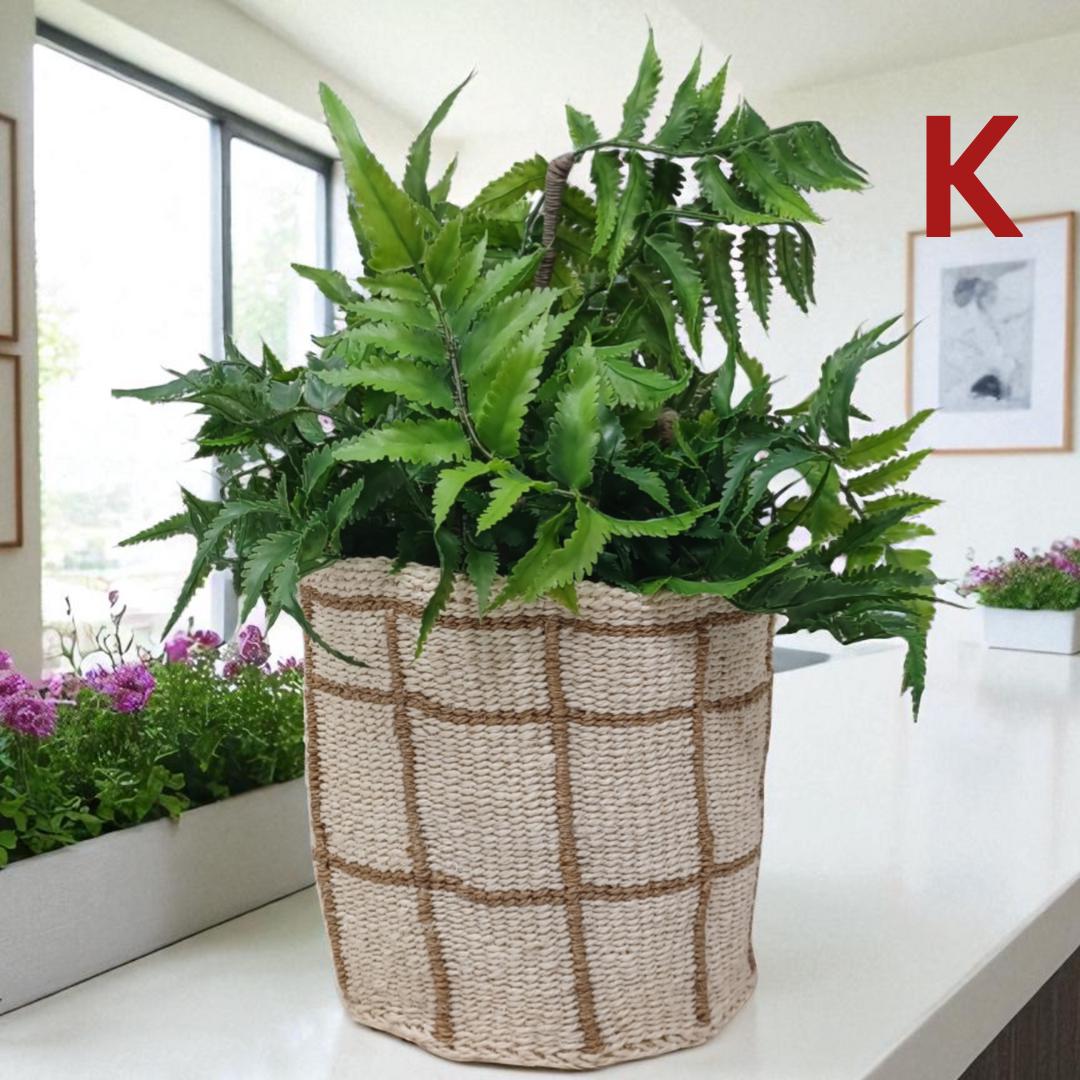 Rainbow Sisal Woven Plant Basket: Boho Home Decor, 7"