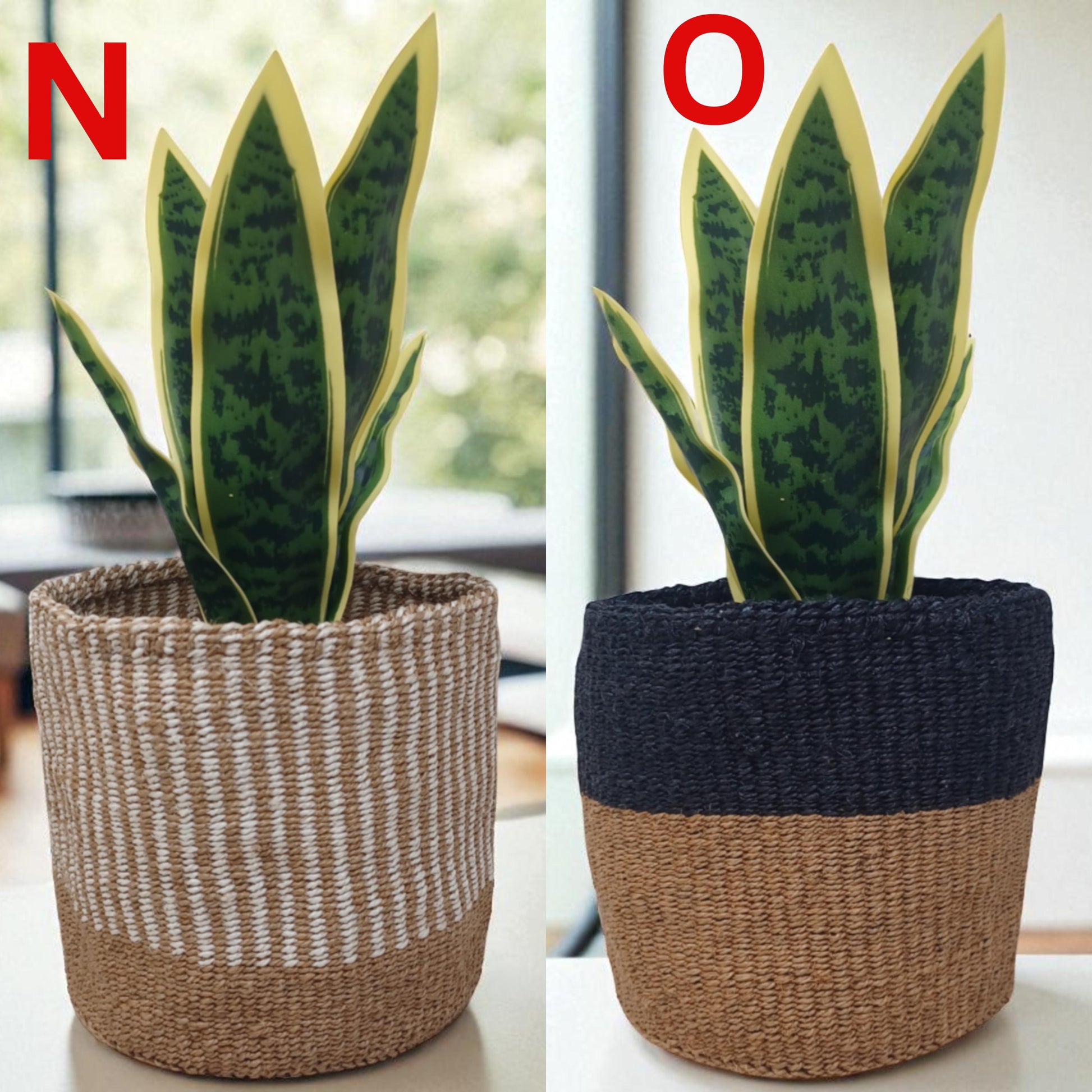 Handwoven Christmas Basket | 7” Colorful Sisal Plant Cover & Holiday Gift