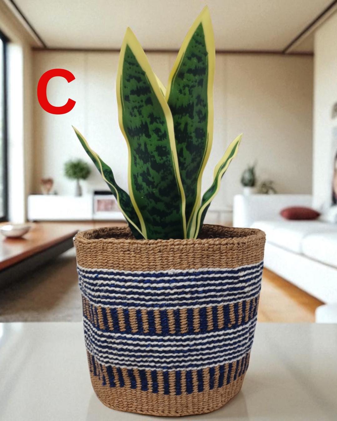 Rainbow Sisal Woven Plant Basket: Boho Home Decor, 7"