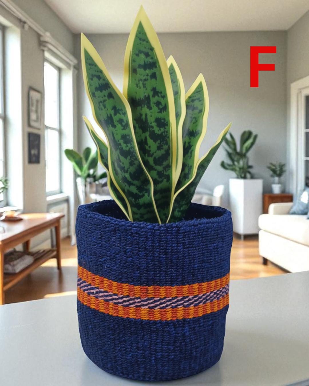 Rainbow Sisal Woven Plant Basket: Boho Home Decor, 7"