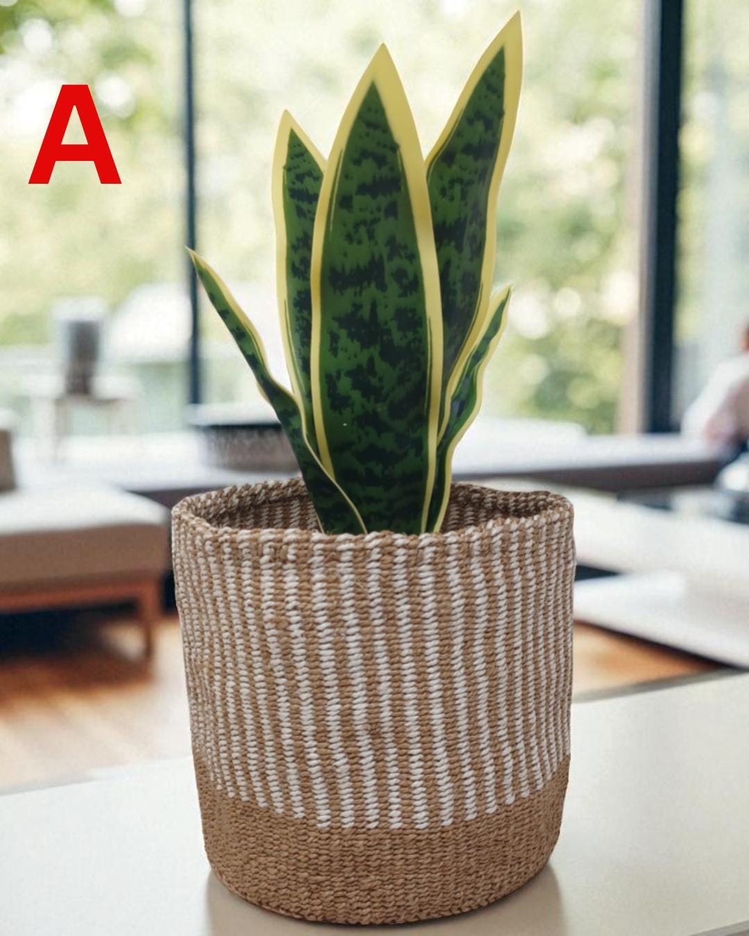 Rainbow Sisal Woven Plant Basket: Boho Home Decor, 7"