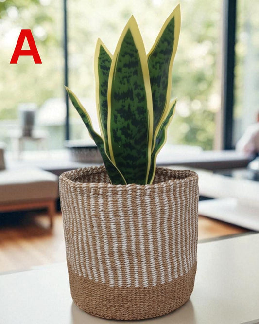 Rainbow Sisal Woven Plant Basket: Boho Home Decor, 7"