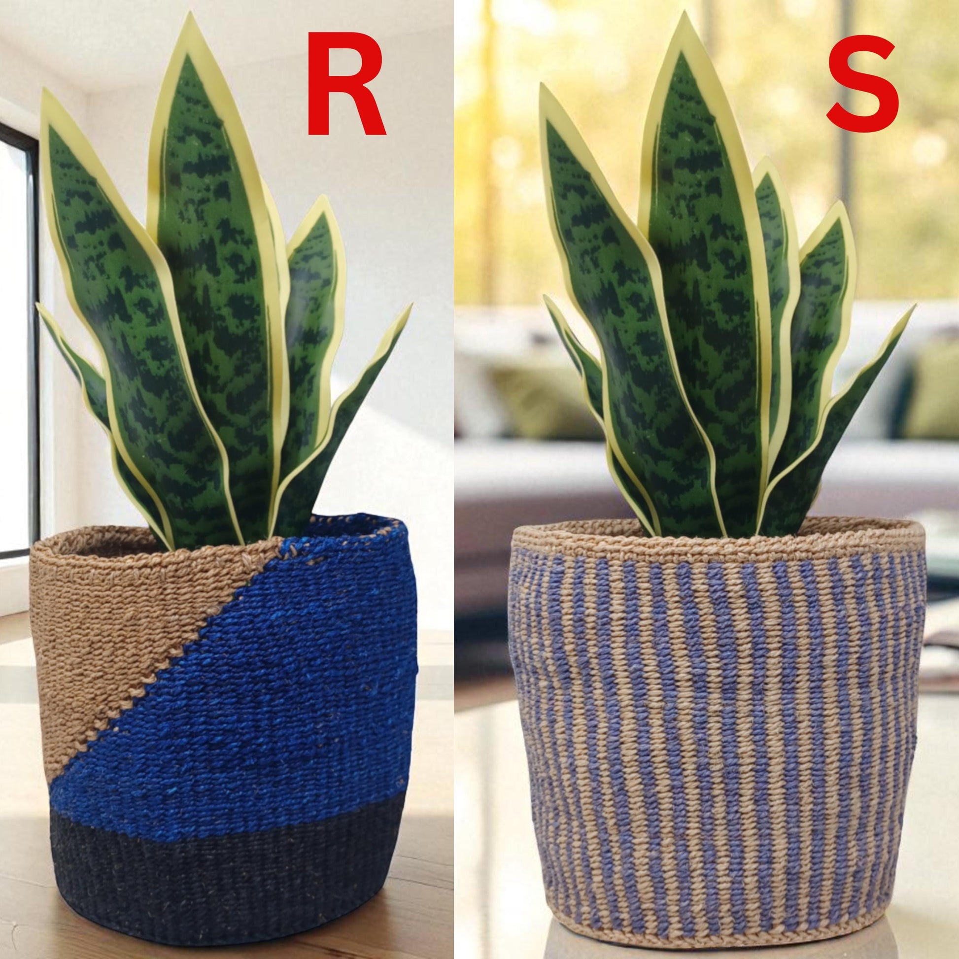 Handwoven Christmas Basket | 7” Colorful Sisal Plant Cover & Holiday Gift