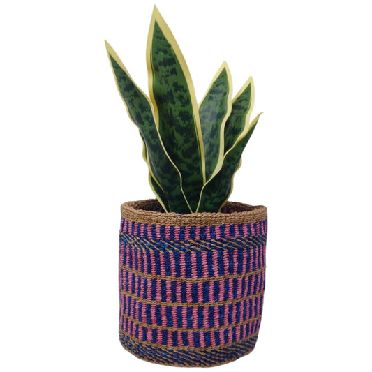 Rainbow Woven Sisal Basket: Colorful Boho Home Decor, 7"