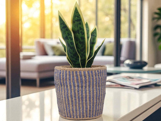 Eco-Friendly Handwoven Basket | 7” Natural Woven Basket for Sustainable Living