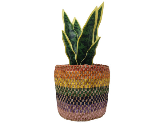 Colorful Handwoven Basket | 7” Holiday Gift Basket for Christmas & Décor