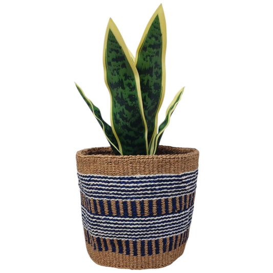 Colorful Christmas Basket | Handwoven Holiday Storage & Planter | 7” Bright Woven Décor