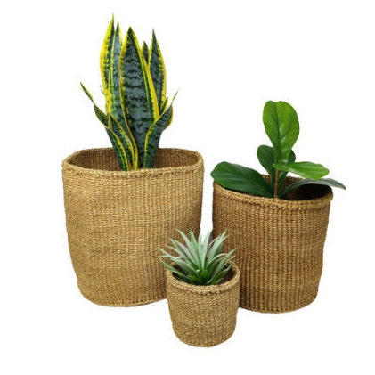 Natural Planter baskets, Woven Plant basket, planter basket woven, Basket planters, basket for plants, woven storage basket, Sisal baskets