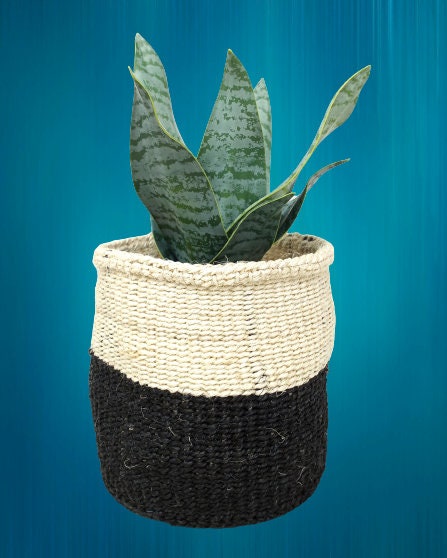 Small woven basket, sisal basket, small shelf basket, indoor plant basket, black and white basket decor, Woven basket gift, desk planter