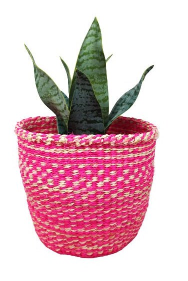 Plant basket small, Woven basket, Plant pot cover, Basket for plant, basket planter, woven planter, storage basket, sisal basket, woven gift