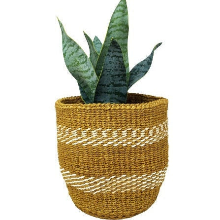Small woven basket, small indoor planter, succulent planter, basket planter small, 6 x 6 inch basket, Round basket small, Small plant basket