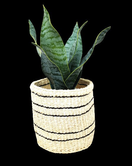 Plant basket gift, Woven basket small, Basket for plant, basket planter, woven planter, small woven storage basket, sisal basket, woven gift