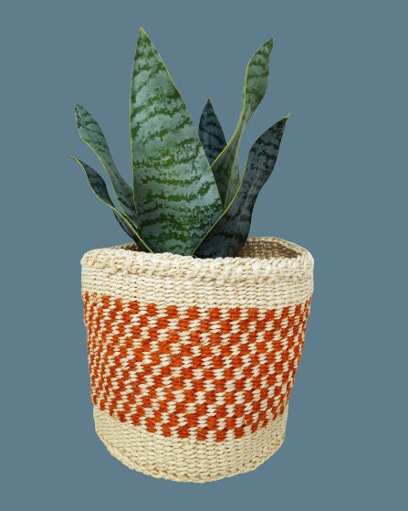 Small woven basket, small indoor planter, succulent planter, basket planter small, desk accessory,  Round basket small, Small plant basket