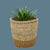 Plant basket, small storage basket, woven plant basket, plant pot cover, planter basket, basket storage, African basket, basket plant holder
