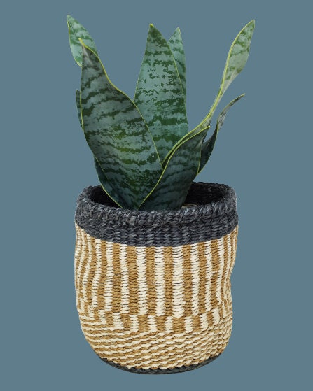 Small woven basket, small indoor planter, succulent planter, basket planter small, 6 x 6 inch basket, Round basket small, Small plant basket
